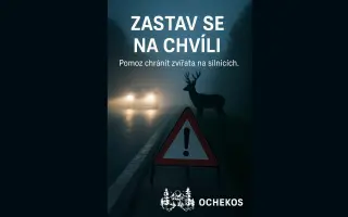 Zastav se na chvíli – pomoz nám chránit zvířata na silnicích!