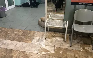 POMOC PRO ABBEY – DŮSTOJNÁ PALIATIVNÍ PÉČE