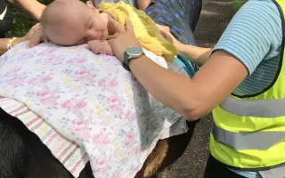 Pomůžeme Kačence a Irjikovi s pořízením nového auta