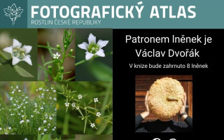 Fotografie všech českých rostlin v jedné KNIZE? Pojďme to dotáhnout!