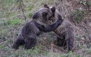 Z nuly zpět za hledáček - aneb nový začátek po velkém pádu