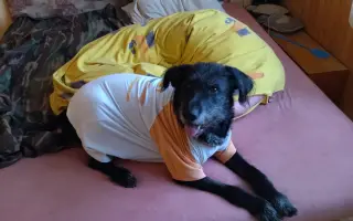 Chemoterapie pro Ritušku