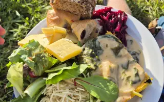 Waldorfští studenti reprezentují ČR na mezinárodní konferenci v Dornachu