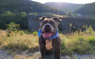 Pomozme Ele opět poznávat svět