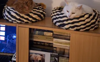 9 nalezených Lásek