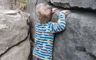 Bráchové potřebují jezdit na terapie