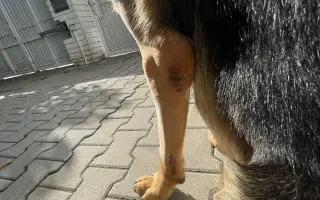 Pomohli jste Benovi znovu chodit bez bolesti