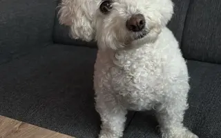 Pomozte nám zachránit naši Elinku