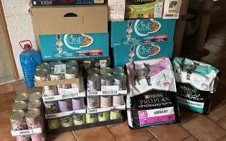 Pomoc kočkám dochází nám zásoby krmení