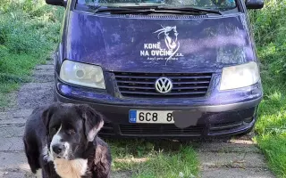 ❤️ Zachránit nestačí. Pomozte nám postarat se o ně dál...