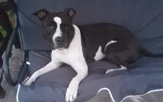 Mia ví, že čas běží… my můžeme prodloužit její chvíle