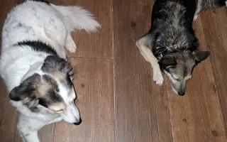 Druhá šance pro Dirka z osady na lepší život