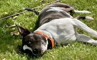 Mia ví, že čas běží… my můžeme prodloužit její chvíle