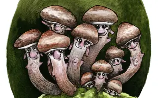 Podpořte KOLODĚJE - houbové hrdiny