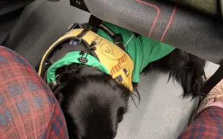 Potřebujeme opravit auto, na kterém jsme závislí.