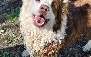 Pomozme prosím Rastikovi na nohy 🩵