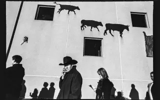 „Flavours“ – Foto monografie Reného Kubáška