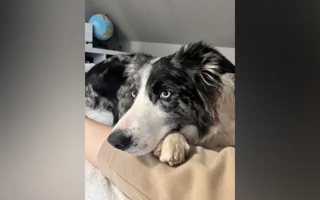 Šance pro Lady - Společně proti lymfomu