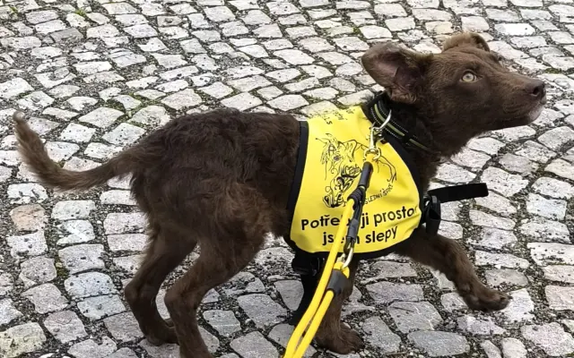 Pomozme zachovat Dvůr poslední šance