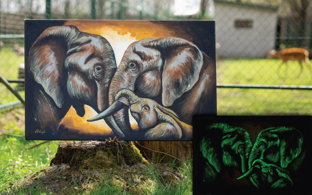 Kousek zoo v obýváku - Sloní rodina