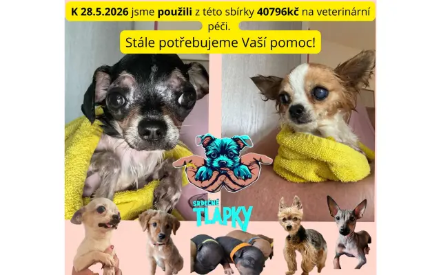 Pomozme pejskům, kteří by jinak šanci na lepší život neměli