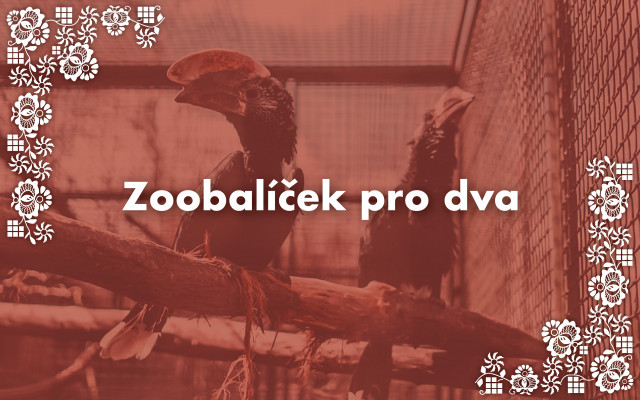 Zoobalíček pro dva
