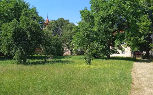 Necháme JABLKA jen tak shnít ???  Podpořte výrobu moštu !!!