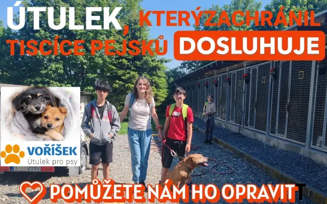 Pomůžete nám s opravou útulku?
