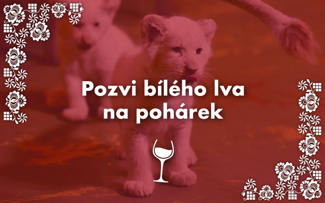 Pozvi bílého lva na pohárek