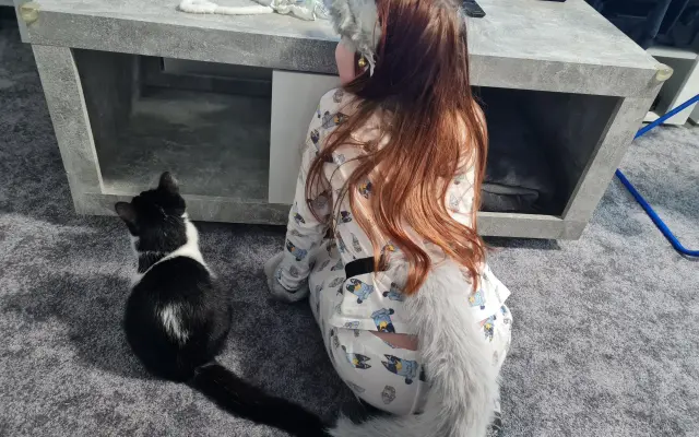 Pomozme Dominičce v boji s progresivním neurologickým onemocněním