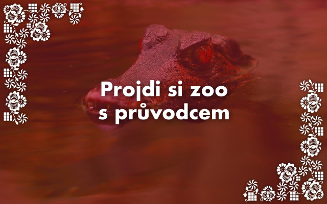 Projdi si zoo s průvodcem