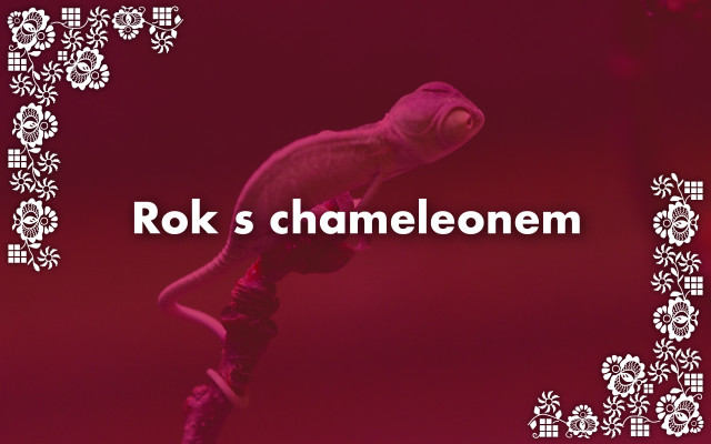 Rok s chameleonem