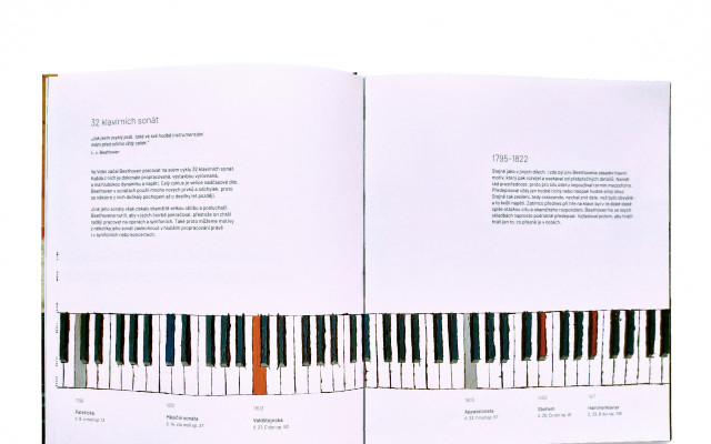 Kniha Ludwig van Beethoven pro nejrychlejší (osobní převzetí)
