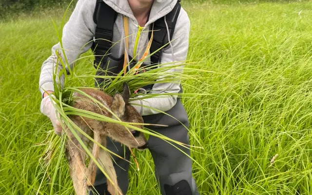 Očima neviditelní - Dronem k záchraně mláďat