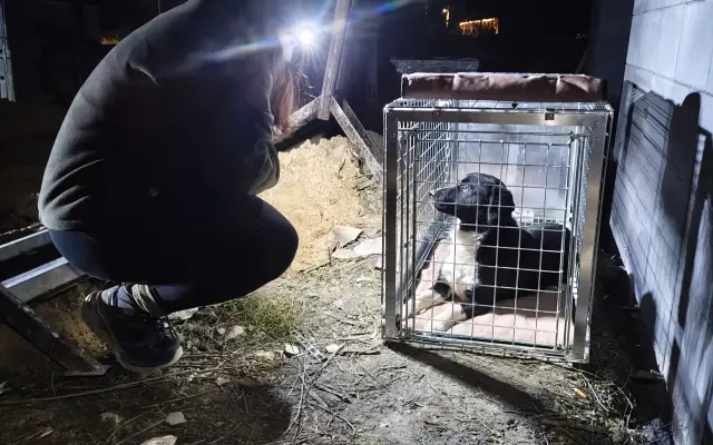 Odchytová technika pro spolek Pátrání a odchyty zvířat ARES z.s.