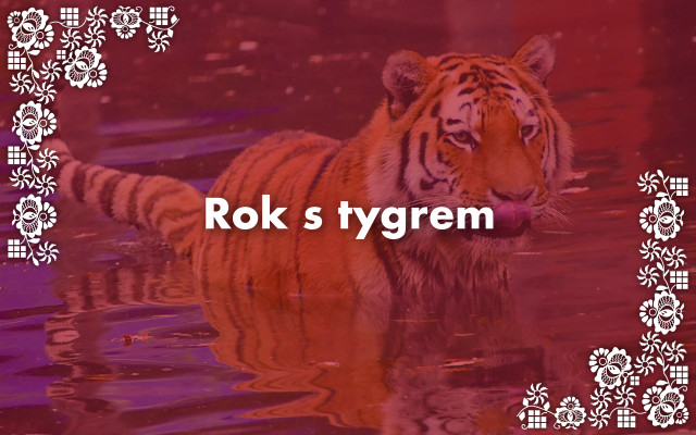 Rok s tygrem