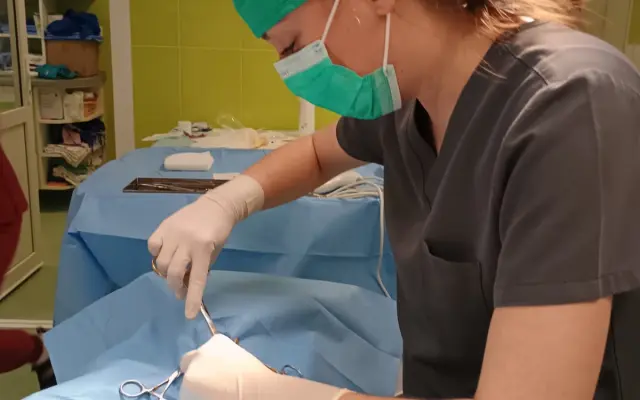 Dnes pomůžete jedné, zítra stovkám: Podpořte kastrace