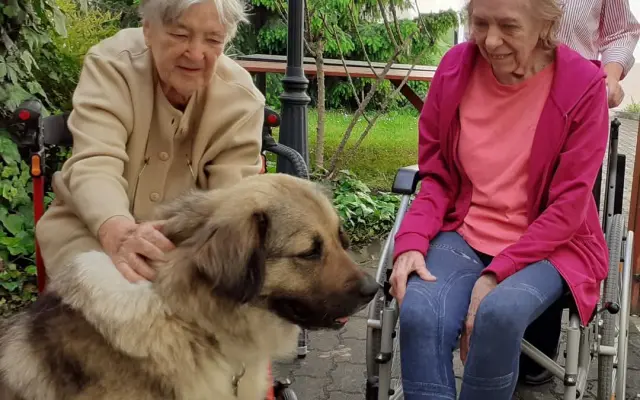 Setkávání se zvířátky – když slova nestačí, přichází oni