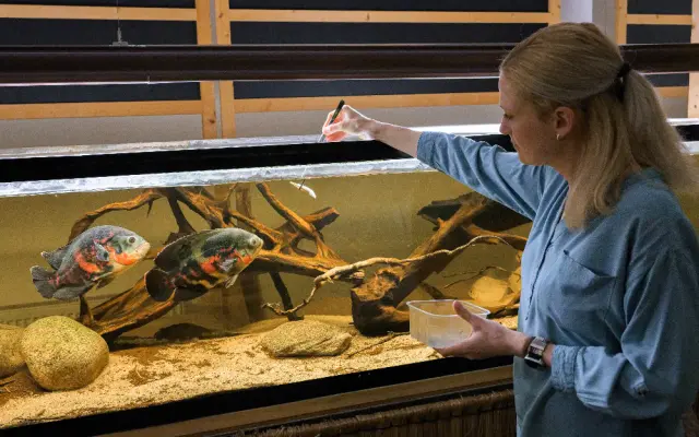 Vytvořme rybkám lepší domov!