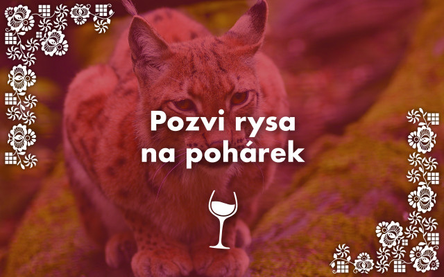 Pozvi rysa na pohárek