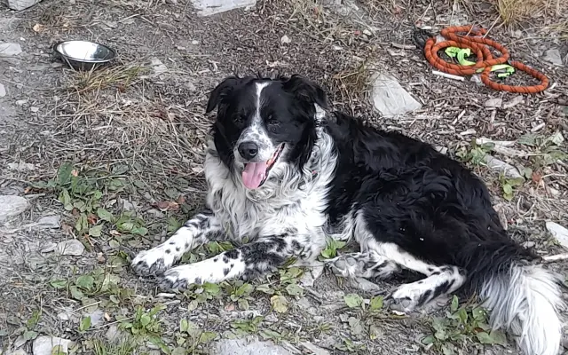 Šance na zrak pro Tedyka