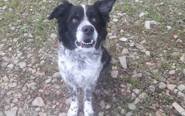 Šance na zrak pro Tedyka