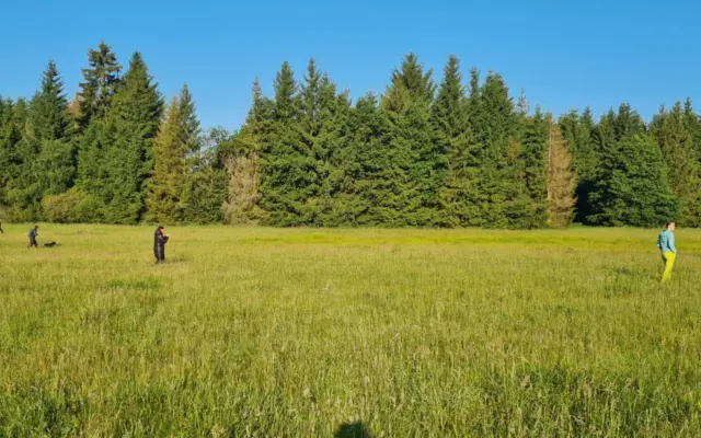 Prostějovsko: Pořízení dronu na záchranu mláďat před sečí