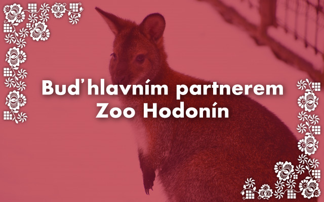 Buď hlavním partnerem Zoo Hodonín