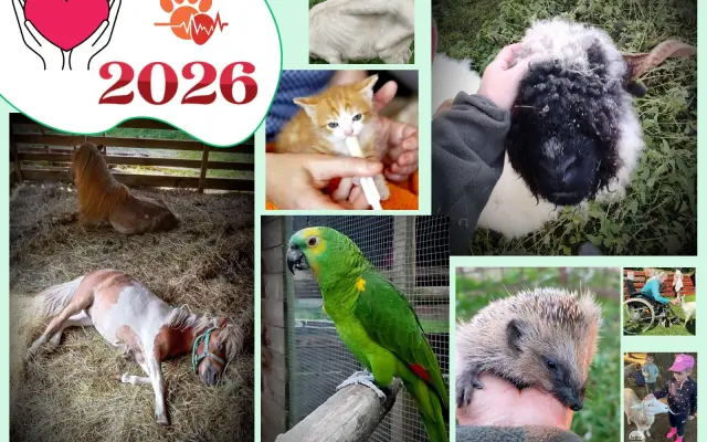Společně ❤️ pro zvířata i v roce 2026