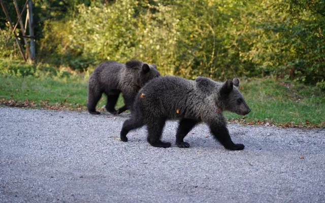 Z nuly zpět za hledáček - aneb nový začátek po velkém pádu