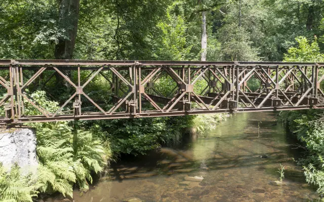 Zachraňme Bailey Bridge