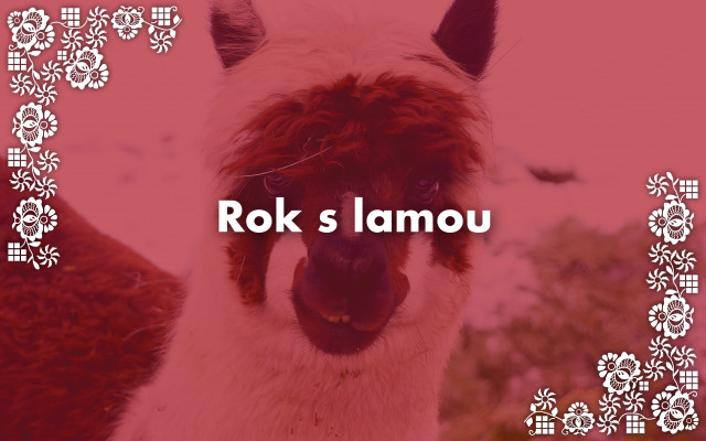 Rok s lamou