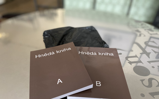 Jan Turner, Aleš Havlíček: Hnědá kniha