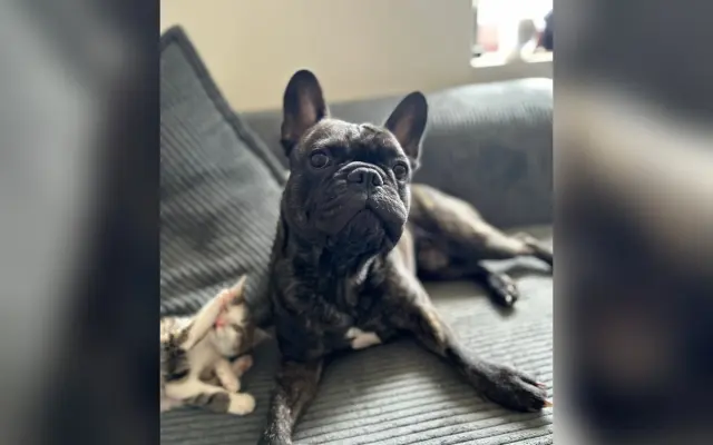 Pomozme Calvinovi zpět na nožičky